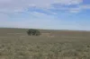 942 Baumgurtel Road, Wynarka, SA 5306-Image