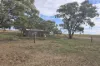 942 Baumgurtel Road, Wynarka, SA 5306-Image