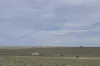942 Baumgurtel Road, Wynarka, SA 5306-Image