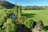 95 Jingellic Road, Jingellic, NSW 2642-Image