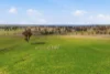 96 Dalton Road, Gunning, NSW 2581-Image