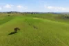 96 Dalton Road, Gunning, NSW 2581-Image