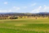 96 Dalton Road, Gunning, NSW 2581-Image