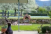 96 Germans Road, Cudgewa, Vic 3705-Image