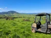96 Germans Road, Cudgewa, Vic 3705-Image