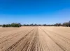 96 Odwyer Road, Tabilk, Vic 3607
