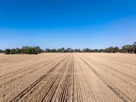 96 Odwyer Road, Tabilk, Vic 3607