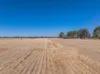 96 Odwyer Road, Tabilk, Vic 3607-Image