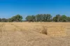 96 Odwyer Road, Tabilk, Vic 3607-Image