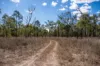 974 Hermitage Emuvale Road, Yangan, Qld 4371-Image