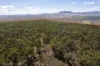974 Hermitage Emuvale Road, Yangan, Qld 4371-Image