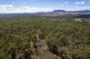 974 Hermitage Emuvale Road, Yangan, Qld 4371-Image
