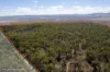 974 Hermitage Emuvale Road, Yangan, Qld 4371-Image