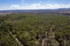 974 Hermitage Emuvale Road, Yangan, Qld 4371-Image