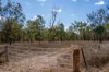 974 Hermitage Emuvale Road, Yangan, Qld 4371-Image