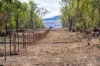 974 Hermitage Emuvale Road, Yangan, Qld 4371-Image