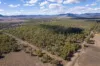 974 Hermitage Emuvale Road, Yangan, Qld 4371-Image