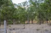 974 Hermitage Emuvale Road, Yangan, Qld 4371-Image