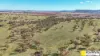 981 Merriwa Road, WARRAH, Willow Tree, NSW 2339