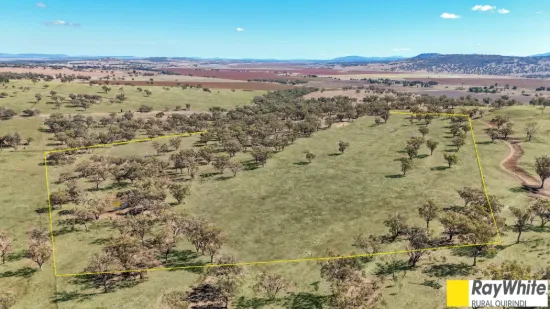 981 Merriwa Road, WARRAH, Willow Tree, NSW 2339