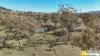 981 Merriwa Road, WARRAH, Willow Tree, NSW 2339-Image