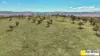 981 Merriwa Road, WARRAH, Willow Tree, NSW 2339-Image