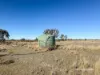 989 South Valley Road, Ashford, NSW 2361-Image