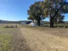 989 South Valley Road, Ashford, NSW 2361-Image