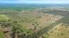 99, Carmichaels Road, Mulwala, NSW 2647