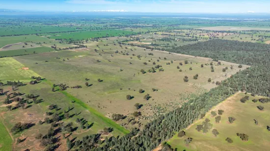 99, Carmichaels Road, Mulwala, NSW 2647