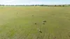 99, Carmichaels Road, Mulwala, NSW 2647-Image