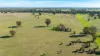 99, Carmichaels Road, Mulwala, NSW 2647-Image