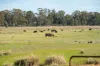 99, Carmichaels Road, Mulwala, NSW 2647-Image
