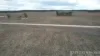 991 Cecil Plains - Moonie Road, Cecil Plains, Qld 4407-Image