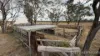 991 Cecil Plains - Moonie Road, Cecil Plains, Qld 4407-Image