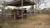 991 Cecil Plains - Moonie Road, Cecil Plains, Qld 4407-Image
