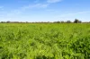 993 Clay Wells Road, Bray, SA 5276