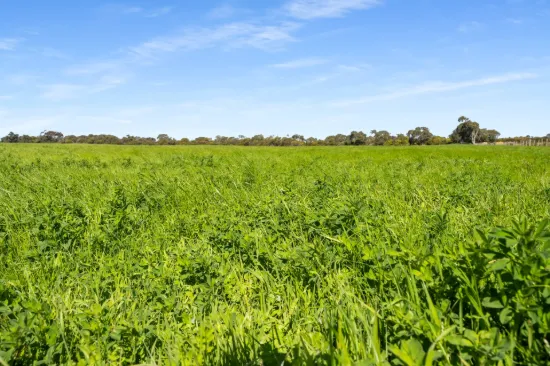 993 Clay Wells Road, Bray, SA 5276