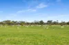 993 Clay Wells Road, Bray, SA 5276-Image