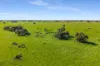 993 Clay Wells Road, Bray, SA 5276-Image