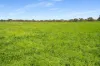 993 Clay Wells Road, Bray, SA 5276-Image