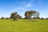 993 Clay Wells Road, Bray, SA 5276-Image
