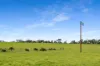 993 Clay Wells Road, Bray, SA 5276-Image