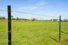 993 Clay Wells Road, Bray, SA 5276-Image