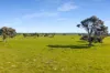 993 Clay Wells Road, Bray, SA 5276-Image
