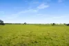 993 Clay Wells Road, Bray, SA 5276-Image