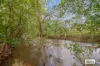 995 Cheeney Road, Batchelor, NT 0845-Image