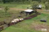 995 Cheeney Road, Batchelor, NT 0845-Image