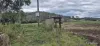 9951 Burnett Highway, Booubyjan, Qld 4601-Image