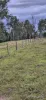 9951 Burnett Highway, Booubyjan, Qld 4601-Image